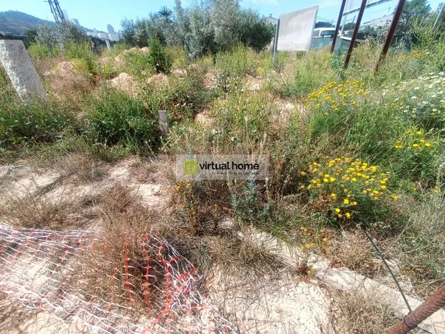 TERRENO EN LEVANTE URBANIZABLE CON PROYECTO Y LICENCIAS. - foto 5