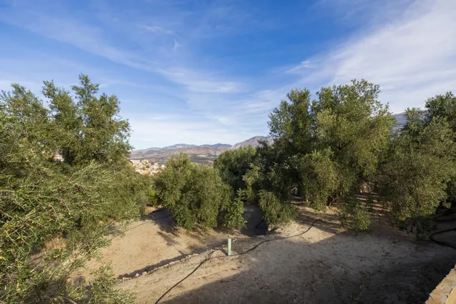 ¡Oportunidad única! Dos Fincas rústicas de mas de 15.000 m2 en total en Pinos del Valle. VENTA JUNTAS O SEPARADAS — 8