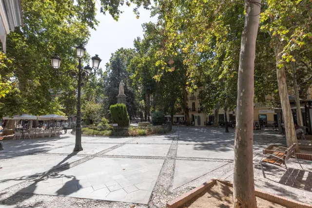 LOCAL COMERCIAL JUNTO A ÁNGEL GANIVET | ESPACIO Y UBICACIÓN. — 18