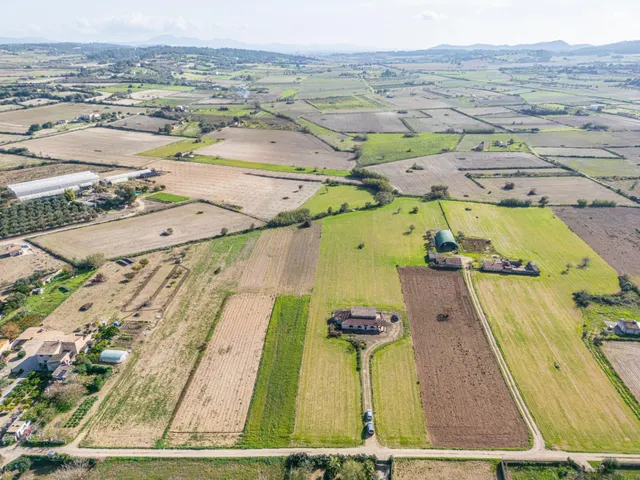 FINCA EN MONTUIRI CON VISTAS DESPEJADAS Y TERRENO LLANO CERCA DE LA CARRETERA PRINCIPAL — 37