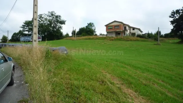 Finca rústica 28973m² en venta - Alto La Encina - foto 5