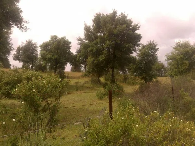 ESPECTACULAR FINCA RÚSTICA 200 HECTÁREAS PARA AGRICOLA, GANADERO, FORESTAL, CAZA EN VALVERDE HUELVA — 11
