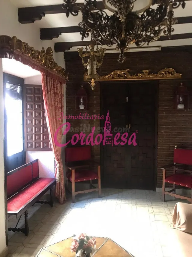 MAGNIFICA CASA SEÑORIAL EN VILLAVICIOSA DE CORDOBA — 5