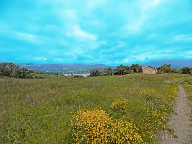FINCA RÚSTICA JUNTO AL EMBALSE DE LA VIÑUELA - foto 3