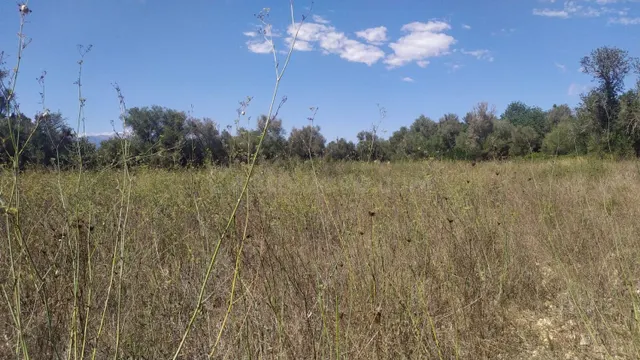 Terreno en venta en Algaida - foto 3