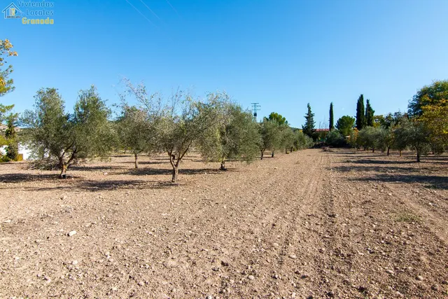 Hospederia rural en Huetor Tajar. — 47