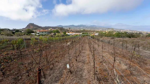 Terreno urbano en Tacoronte. — 32