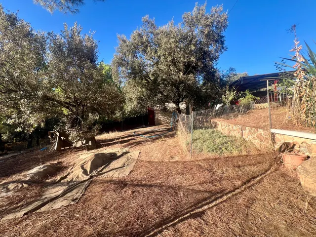 E.  espectacular finca en Villaviciosa de Córdoba – en pleno corazón de sierra morena — 8
