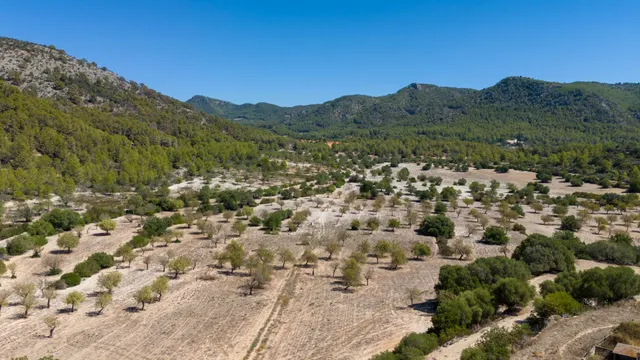Finca rústica muy exclusiva en Calvià — 17