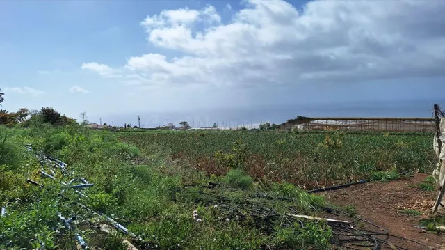 Se vende casa con finca con invernaderos en producción en Ta - foto 5