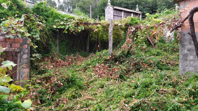 SE VENDE CASA DE PIEDRA PARA REFORMAR EN BUGALLIDO — 19