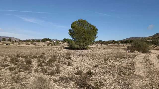 Parcela agrícola en Salinas, Alicante - Venta