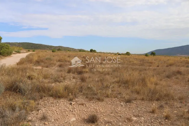 VENTA DE TERRENO EN JUMILLA — 15