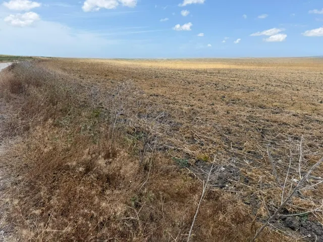 Oportunidad única: Finca rústica de 84.423 m2 en las afueras - foto 3