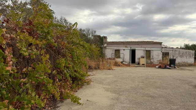 ¡Ocasión en Trigueros! Finca rústica totalmente legalizada con excelente acceso y gran tranquilidad — 15