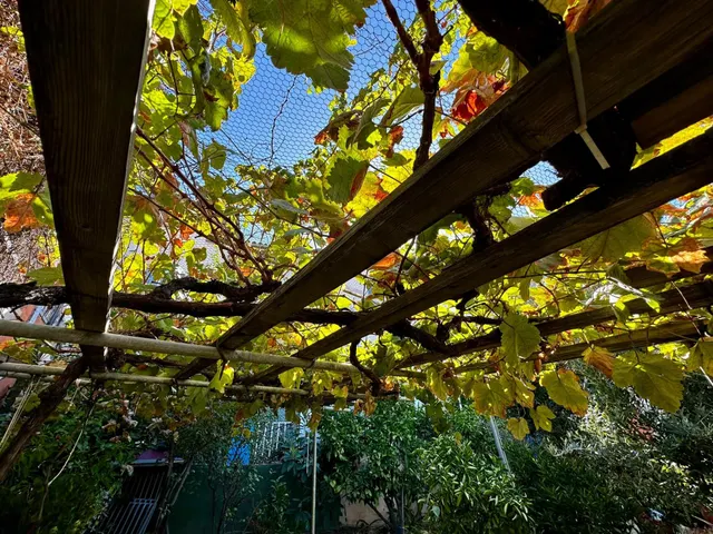 Casa ubicada en el Rincón bajo de Tejeda — 37