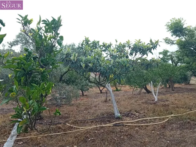 FINCA RÚSTICA VACACIONAL - EXCELENTE SITIO PARA DESCONECTAR. — 9