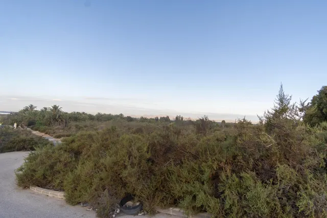 Te gustaria tener  un terreno rústico en  la misma carretera de Santa Pola donde pasar los domingos? parcela de 12.445 m2 — 5