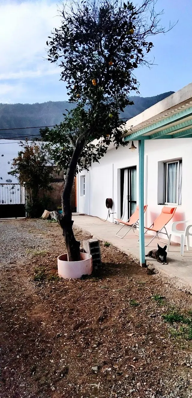 CASA CANARIA LA HOYA — 37