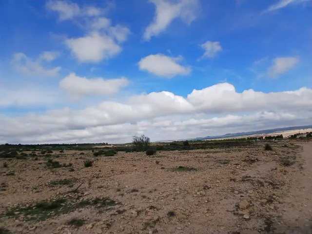Parcela en venta - Yecla — 15