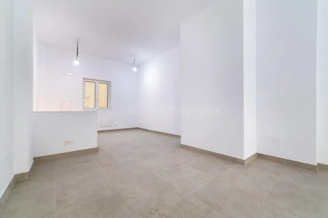 LOCAL COMERCIAL REFORMADO EN CALLE EDGAR NEVILLE - foto 4