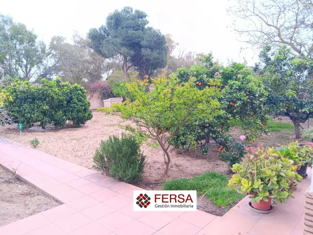 FERSA INMOBILIARIA VENDE EN EXCLUSIVA CASA CON GRAN PARCELA 