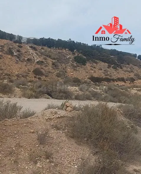 VENTA DE TERRENO AGRÍCOLA EN EL KM 21. MUY BIEN UBICADO Y DE - foto 4