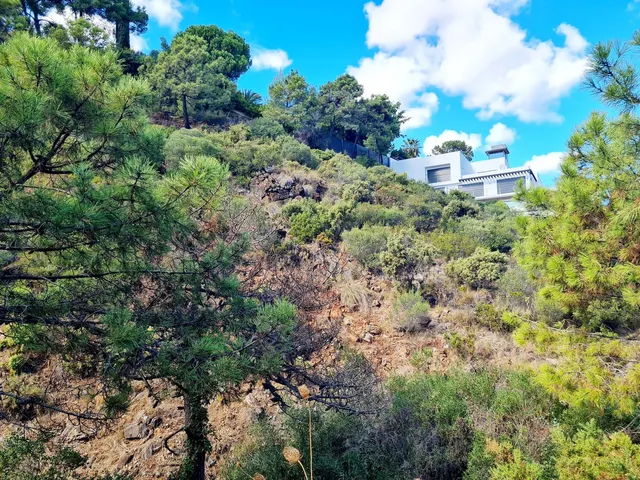 Parcela 600m² en venta - Puerto Sol-Los Almendros-El Tomillar — 6