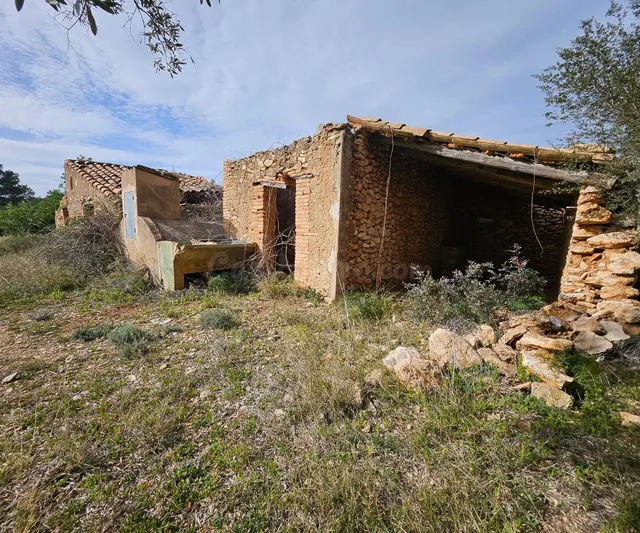 Finca Rústica de 6,5 hectáreas, plana, con casa de campo de 150 M2 — 2