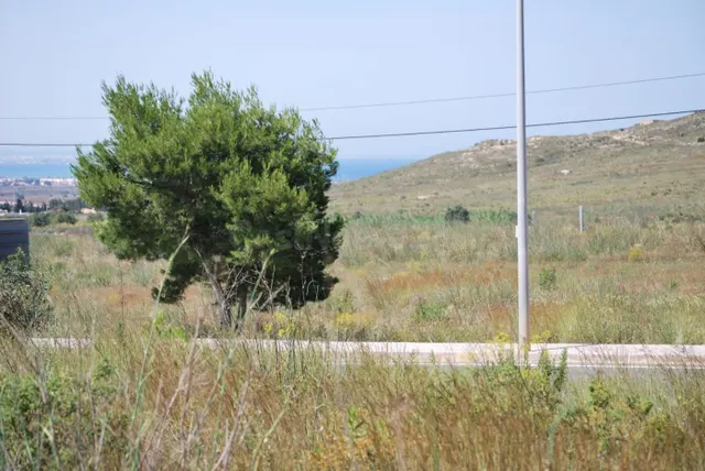 Terreno en Llano del Beal (Cartagena). - foto 2