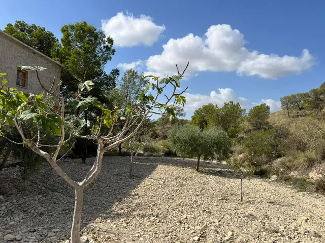 Casa Rural en Barinas, Abanilla: Tu Refugio Ideal — 16