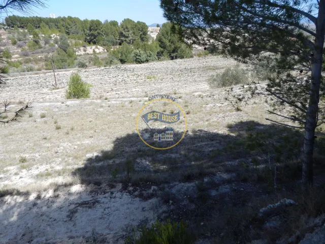 TERRENO EN PRODUCCIÓN CON PEQUEÑA CONSTRUCCIÓN EN PALOMAR(VALENCIA) — 4