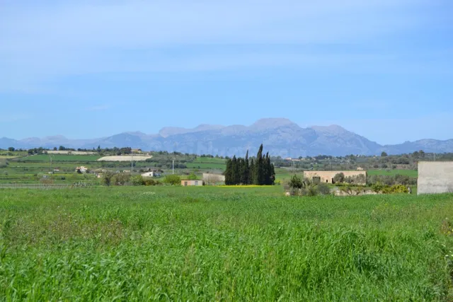 Finca rústica en venta en Santa Margalida.