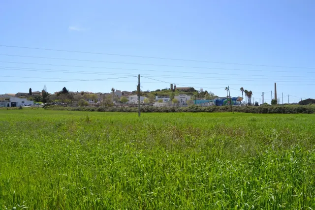 Finca rústica en venta en Santa Margalida. - foto 5