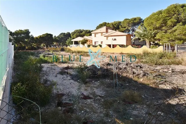 SOLAR EN 3 LÍNEA DE PLAYA EN LA AZOHÍA - foto 3