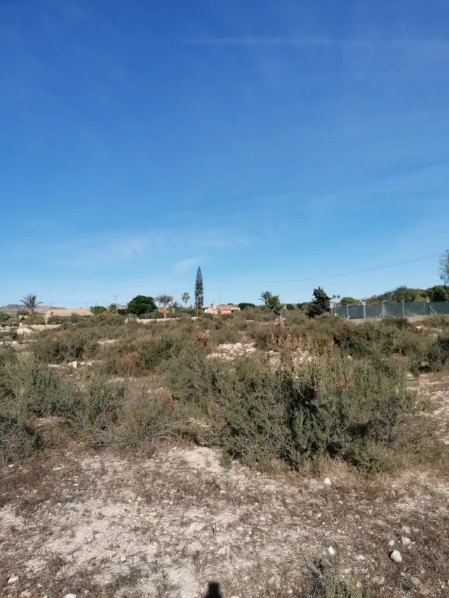 Parcela a 5 km de Elche — 2