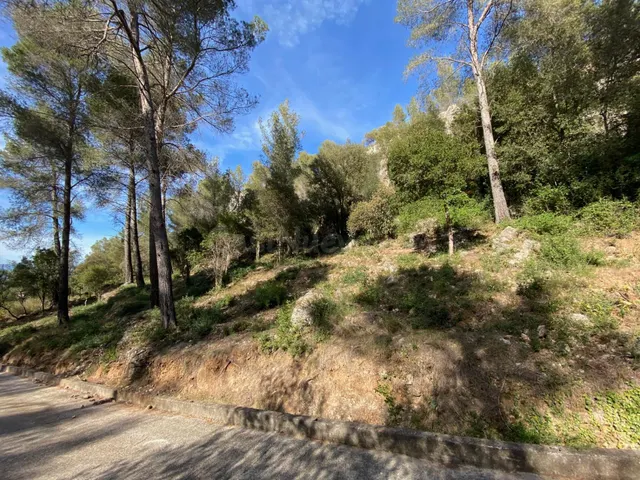 Venta de Terreno en plena naturaleza en Corbera de LLobregat - foto 3
