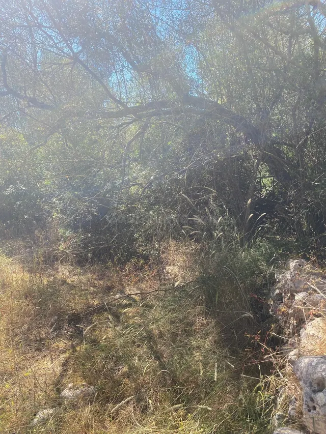 Finca rustica edificable en Felanitx — 3