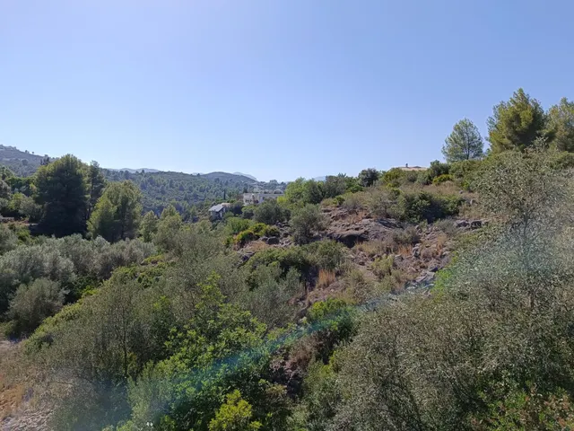 Excepcional terreno de 4.000 m2 en Montepego — 2