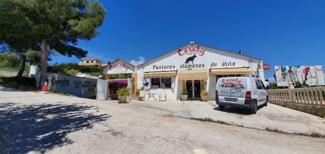 Parcela 1000m² en venta - Carretera de La Nucia