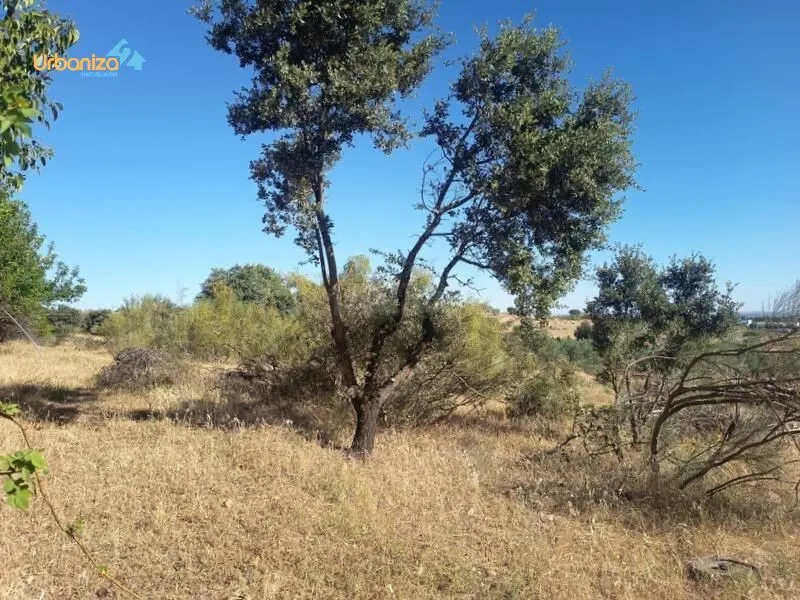 PARCELA RÚSTICA DE 2.400 M2.