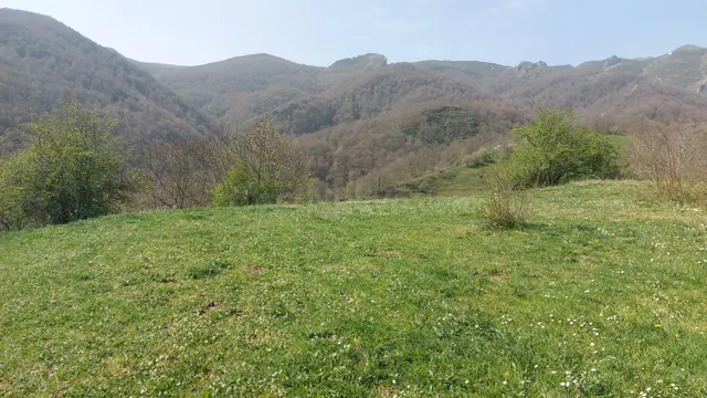 Venta terreno rustico en Caloca - foto 4