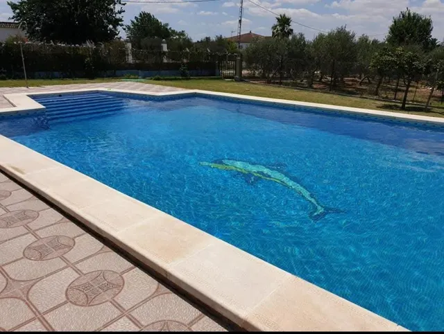 Amplio Campo con Casa y Piscina en Pago Redondo ! — 22