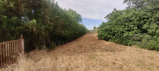 TERRENO URBANIZABLE SECTORIZADO EN ALMENSILLA — 3