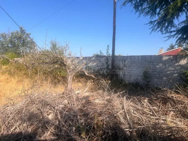 Vivienda unifamiliar con gran parcela en Valverde de la Virgen - León — 5