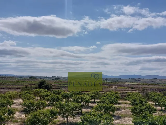 Espectacular Finca en Venta en Bèlgida — 28