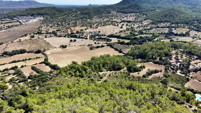 Terreno rústico de 10.000m2 en son quetlles, Felanitx — 16