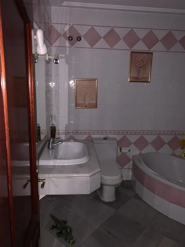 Gran casa con garajes y local comercial — 24
