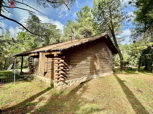 Terreno de 10.117m2 con vivienda de 75m2 rodeado de un precioso bosque — 14