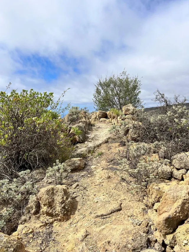 TERRENO RURAL EN VENTA EN ARICO VIEJO – Sur de Tenerife - foto 4